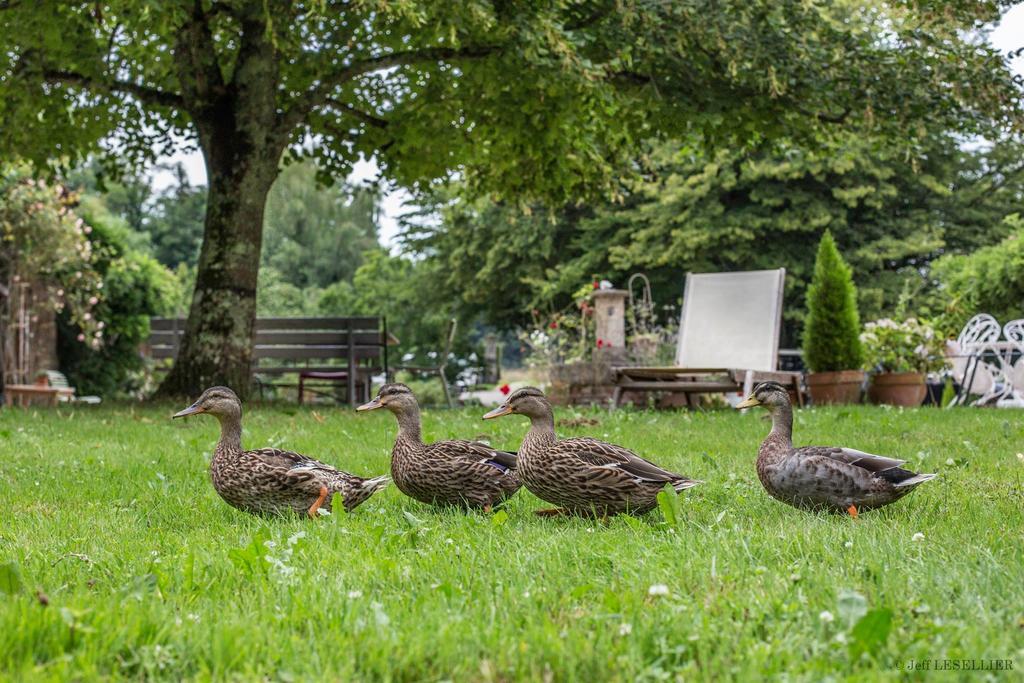 La Ferme De Marie Eugenie Bed & Breakfast Bruailles Luaran gambar